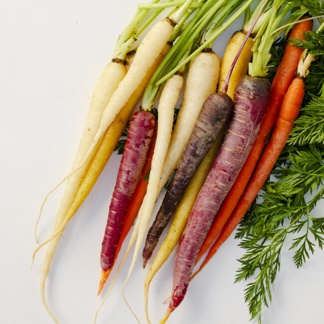 Solera & Co. Heirloom Carrots